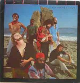Sea Level-Cats On The Coast LP