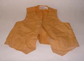 GOLD COLORED VEST