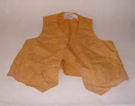 GOLD COLORED VEST