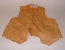 GOLD COLORED VEST